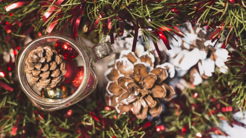 встретьте настоящее рождество среди заснеженных карпат - Номер 3