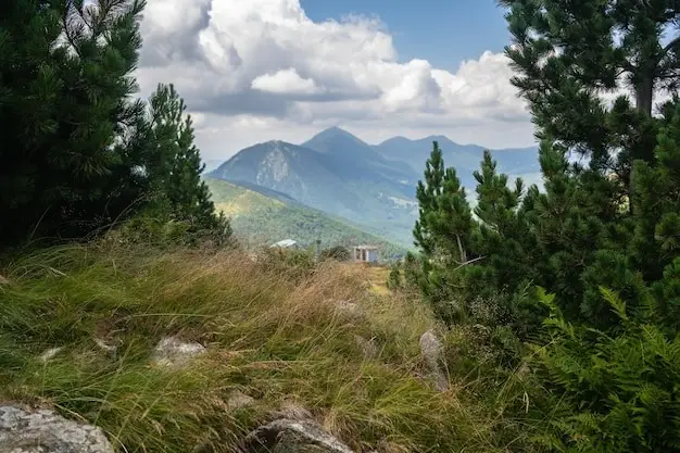 гора довга в карпатах: маршрут, панорами та поради для туристів - Номер 1